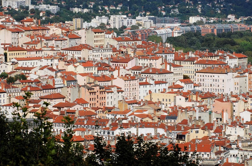 SLOPES OF THE CROIX-ROUSSE